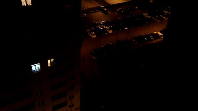 Бродячие собаки в Ленинском районе смотреть онлайн