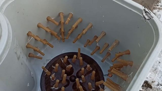 Перощипальная машинка своими руками смотреть онлайн