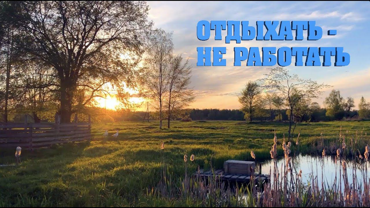 #21. Пионерские выходные. Лесные раскопки. Плов. [Жизнь на своей земле]