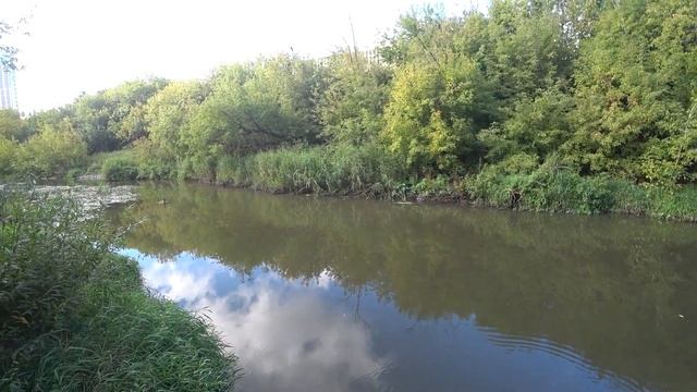 Набор рыбака Ecos Fishing на практике. Работают ли дешёвые колеблющиеся блесны из набора. Река Яуза смотреть онлайн