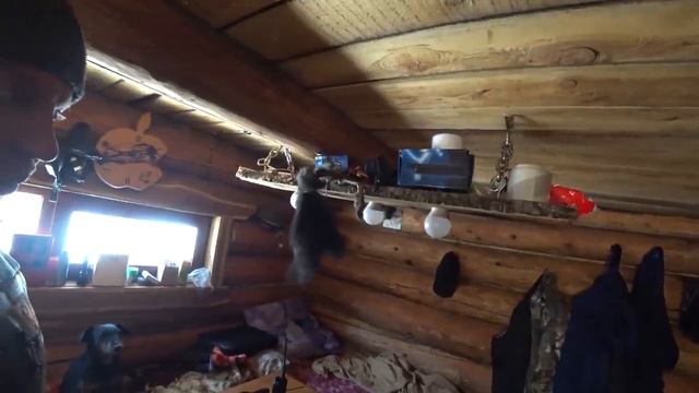 ВСЕ УЕХАЛИ, ОСТАЛСЯ ОДИН НА ЗИМОВЬЕ. ДАВНО МЕЧТАЛ ОБ ЭТОМ. смотреть онлайн