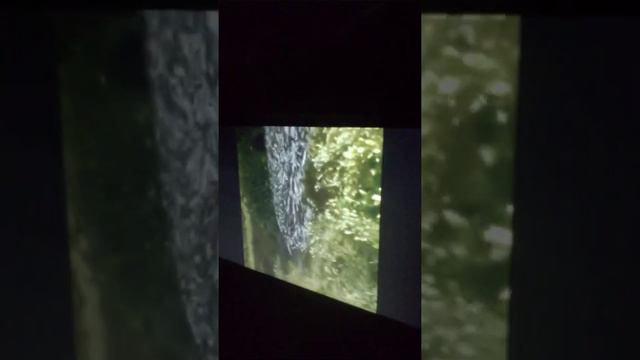 всё для народа ,или почем икорка? смотреть онлайн