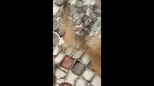 фнаф маска своими руками #fnaf #МАСКА #мем # СКРИМЕР смотреть онлайн