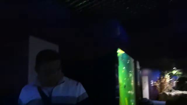 ВОЛГОГРАДСКИЙ ОКЕАНАРИУМ ЧАСТЬ 2