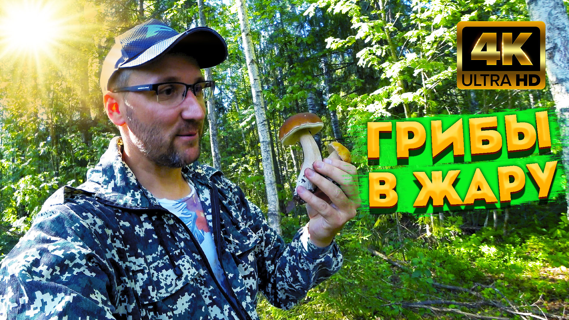 Белые грибы растут в жару. Нашли хорошее место с подосиновиками. Где искать грибы в августе. смотреть онлайн