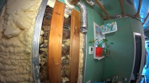 Ликвидация гнезда шершней