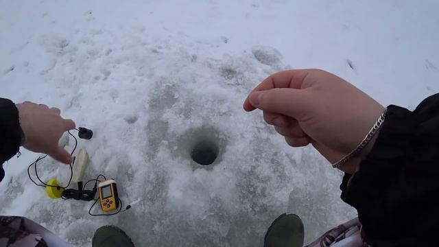 ПЛОТВА ПОПЕРЛА! Ловля плотвы зимой на мормышку