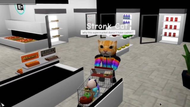 Dr. Stronk Cat Found THIS in Roblox Brookhaven 🏡RP смотреть онлайн