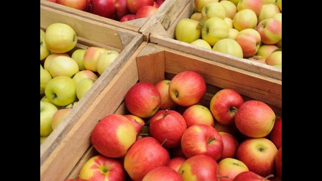 Задание 2. Чем украшали ёлки?