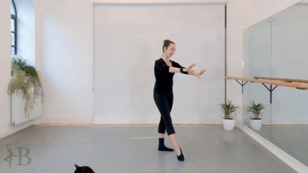Temps Lié 90º | Ballet Tutorial | Adult Ballet