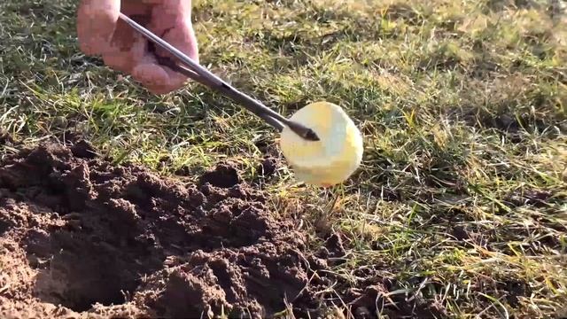 КАК ПРОГНАТЬ КРОТА l СЕРНАЯ ШАШКА l ВЫКУРИВАЕМ КРОТА смотреть онлайн