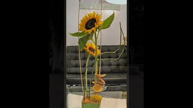 Floristería online entrega en 24h a toda España Flores Boda ramo de novia decoración floral смотреть онлайн