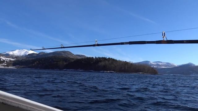 Рыбалка в Норвегии с лодки. Морская щука. Подводные съёмки. Ловля мольвы. Норвегия. Рыбалка. смотреть онлайн