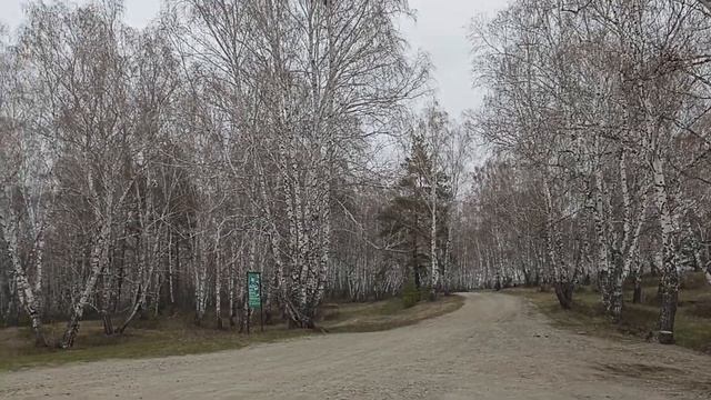 Как мы на горный источник ездили смотреть онлайн
