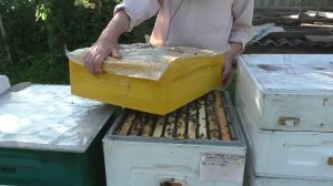 2 МАГАЗИН в РАЗРЕЗ или СВЕРХУ