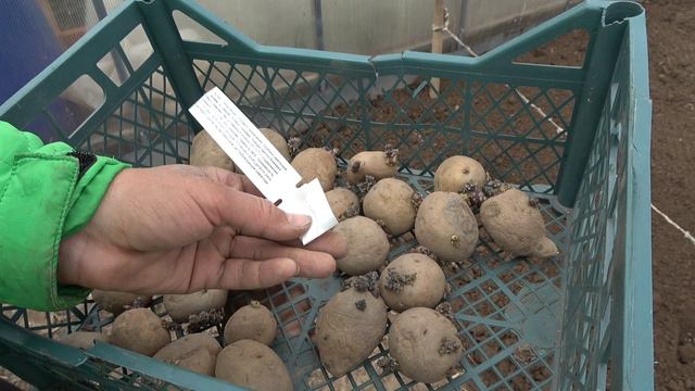 6 соток 13 мая 2024 года. Хроника.