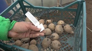 6 соток 13 мая 2024 года. Хроника.