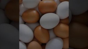 Первичная обработка яиц