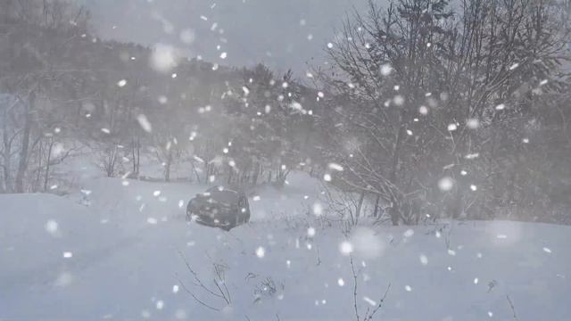 26 01 2020 Рыбалка смотреть онлайн