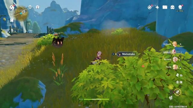 Genshin Impact Intel Hd Graphics 4000