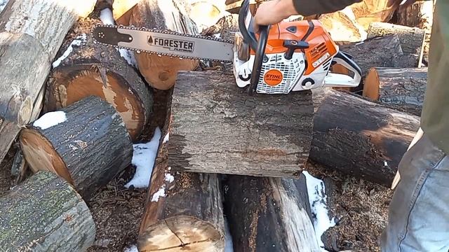 fresh off the bench ported stihl ms 500i build first test cuts смотреть онлайн