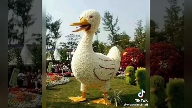 Чудеса флористики!!))) Поразительно!!! смотреть онлайн