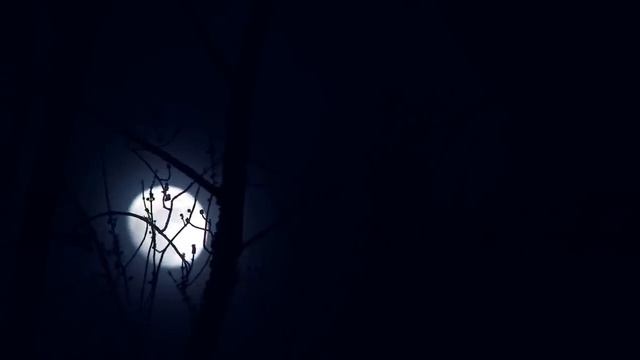 30 Min Deep Sleep Music ★︎ Fall Asleep Fast ★︎ Delta Waves, Melatonin Release