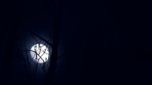 30 Min Deep Sleep Music ★︎ Fall Asleep Fast ★︎ Delta Waves, Melatonin Release