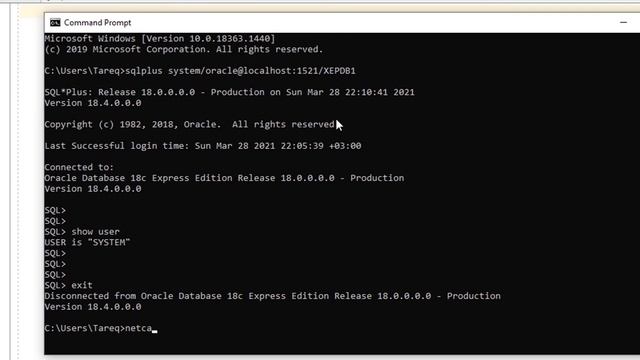 Oracle SQL How to connect to Oracle Database using Oracle SQLPlus - Lesson 08 смотреть онлайн