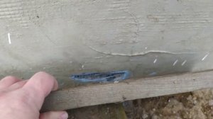 ПОЧЕМУ КУРЫ ЕДЯТ ПЕНОПЛАСТ?