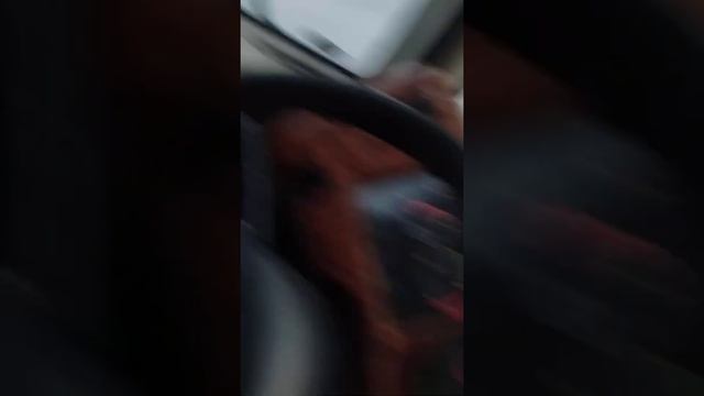 Al Ghail hill area stevin rock смотреть онлайн