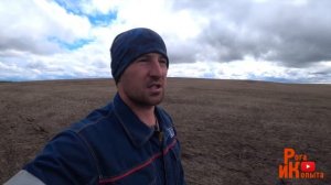 Посев подсолнечника зерновой сеялкой ещё и в стерню!