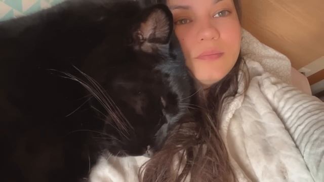 Panther Luna in the city ?/ Our future plans? смотреть онлайн