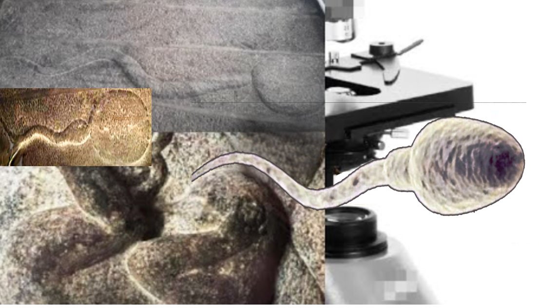 Храм Кундадам Бхайрава и петли времени. смотреть онлайн