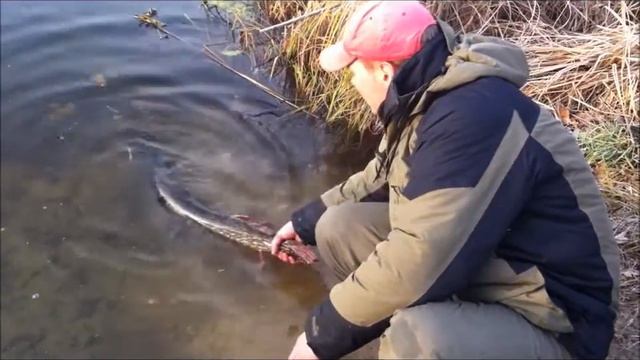 Осень,Сож,щука 6800. смотреть онлайн