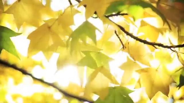 ТРИ МАГИЧЕСКИХ СОСТОЯНИЯ ЖЕНЩИНЫ. Успех по-женски. Женственность. Ада Кондэ смотреть онлайн