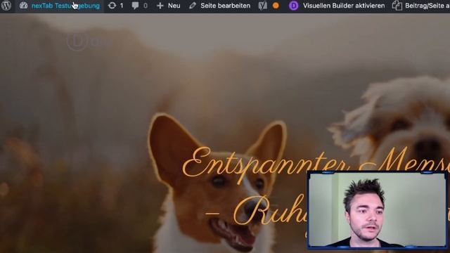 Wortmarke als Text-Logo in Divi einstellen (Divi Tutorial) смотреть онлайн