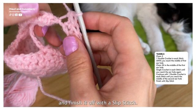 Crocheted Strawberry Hat For Cats – Tutorial смотреть онлайн