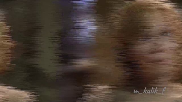 Счастье рядом❤
Брагины/Марина&Олег смотреть онлайн