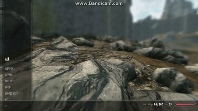 Skyrim on a AMD Radeon HD 8510G смотреть онлайн