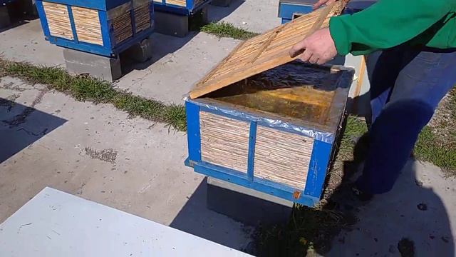 24 Марта 2022. Приехали посмотреть как там пчёлы ?🐝🐝 смотреть онлайн