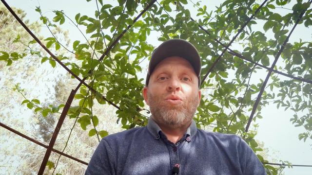 4 Всадник и дух ада смотреть онлайн