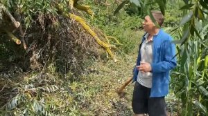 Толя Солома нашел РАБОТУ в селе