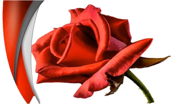 С Днем Рождения Ирина! смотреть онлайн