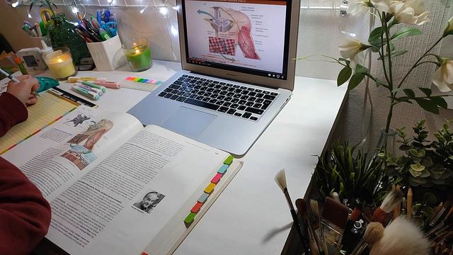 Учись меньше, но лучше. 6 стратегий для обучения смотреть онлайн
