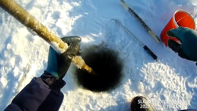 Проверка крючков на налима 23 02 2022 смотреть онлайн