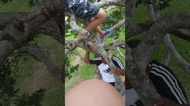 Tri fun смотреть онлайн