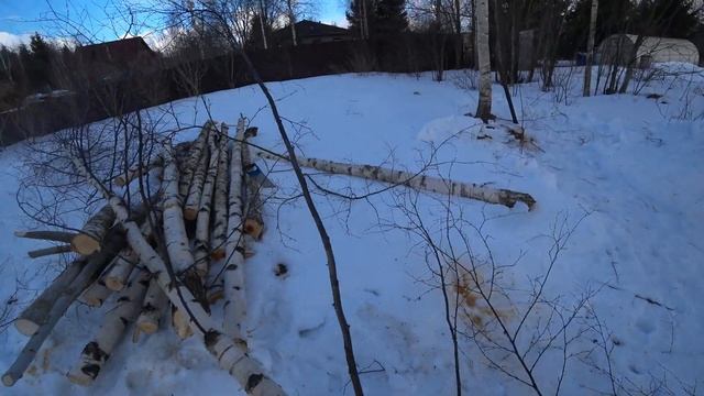 ДровоЗубр AB-125 соревнуется с Gross G506, а побеждает всех Gross 24119.