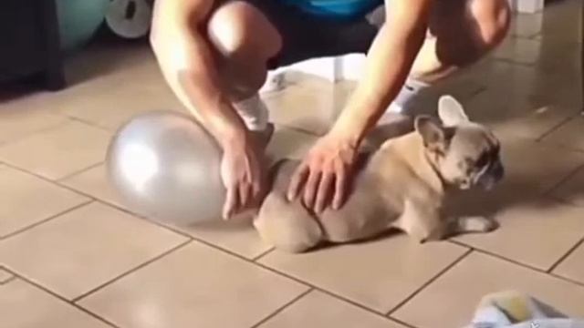 после горохового супа