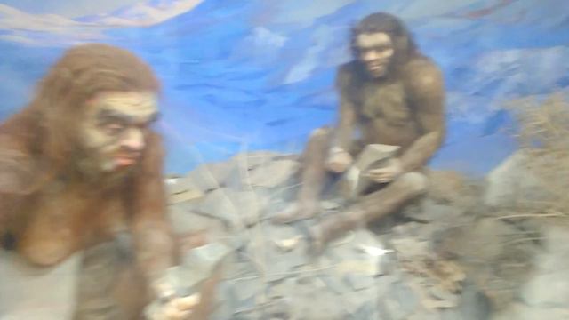 Фергана музей смотреть онлайн